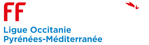 Ligue Occitanie Pyrénées-Méditerranée de Volley-Ball